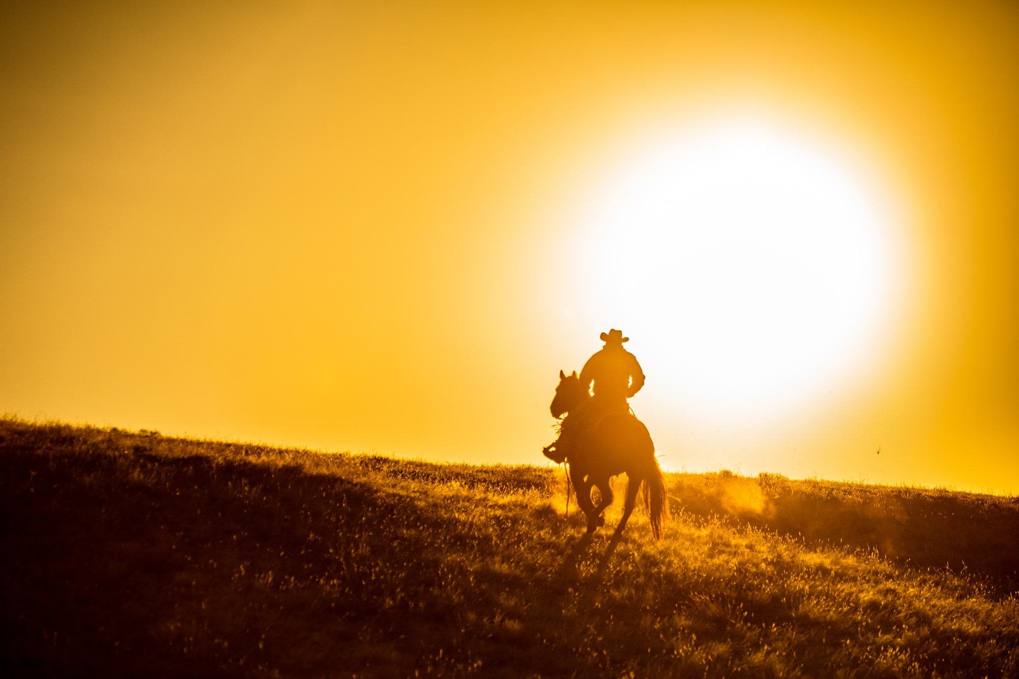 cowboy riding into sunset